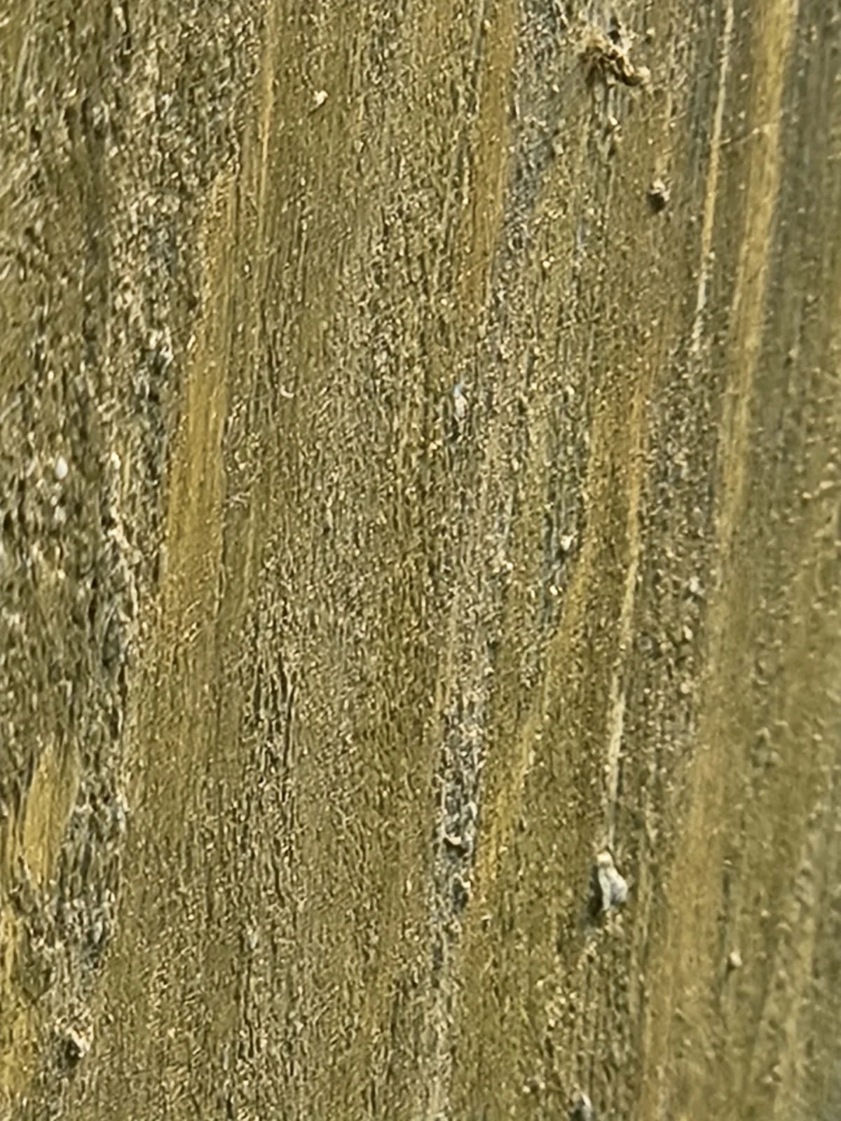 THE WEIGHT OF SILENCE _closeup3.jpeg