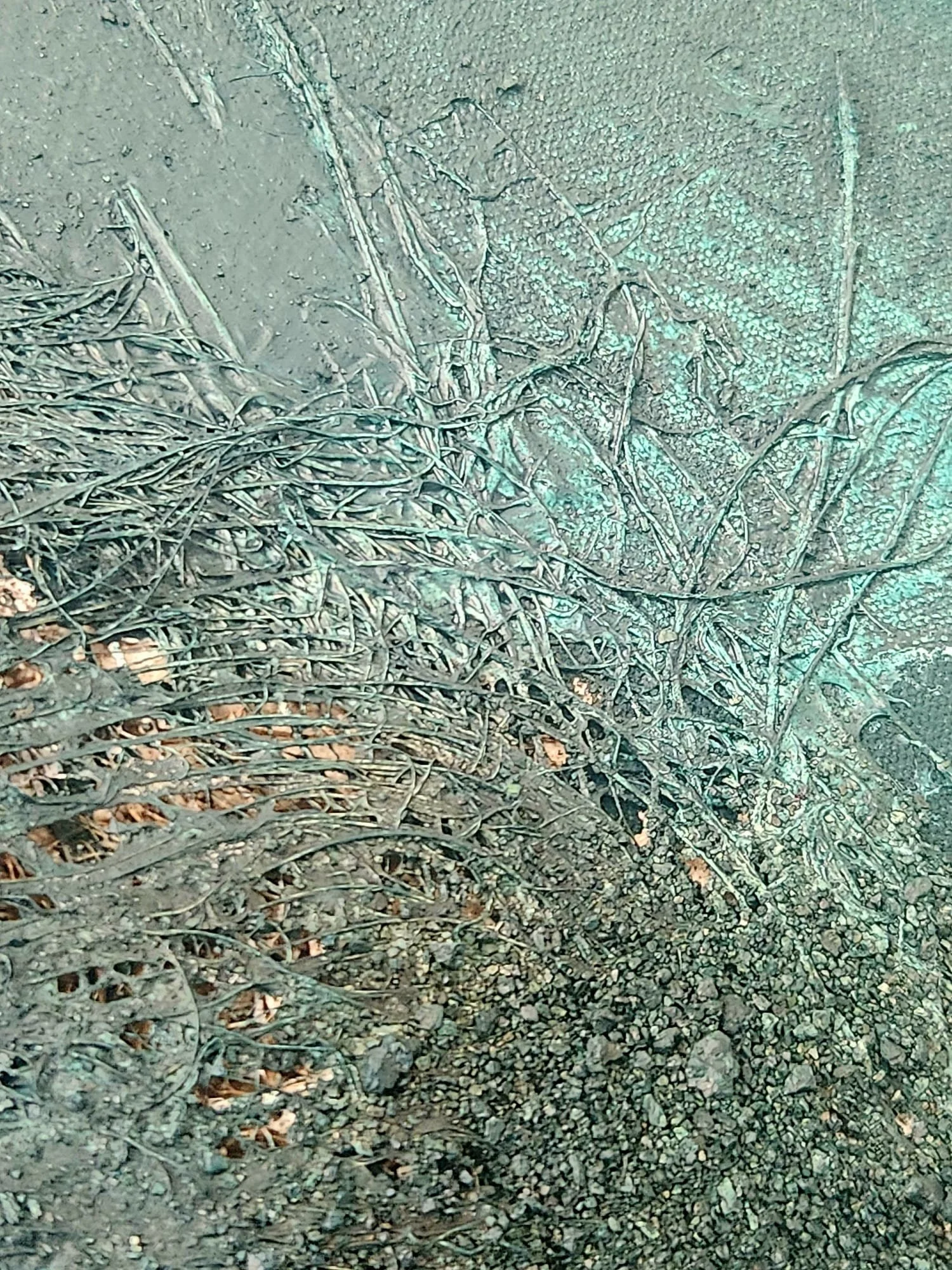 Where Blue Holds Distant Ground_Closeup2.jpeg