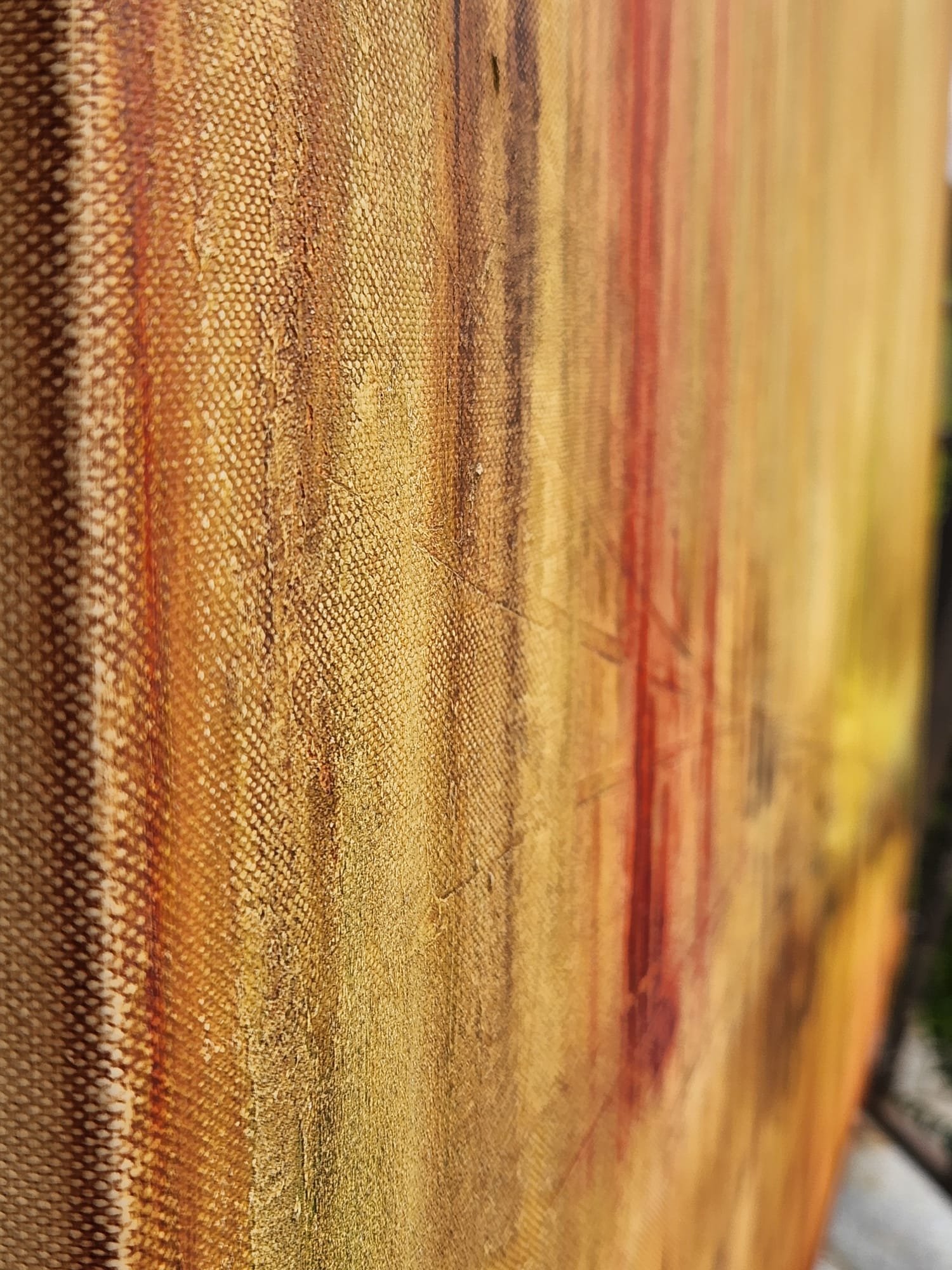 Field of Dandelion_ closeup.jpeg