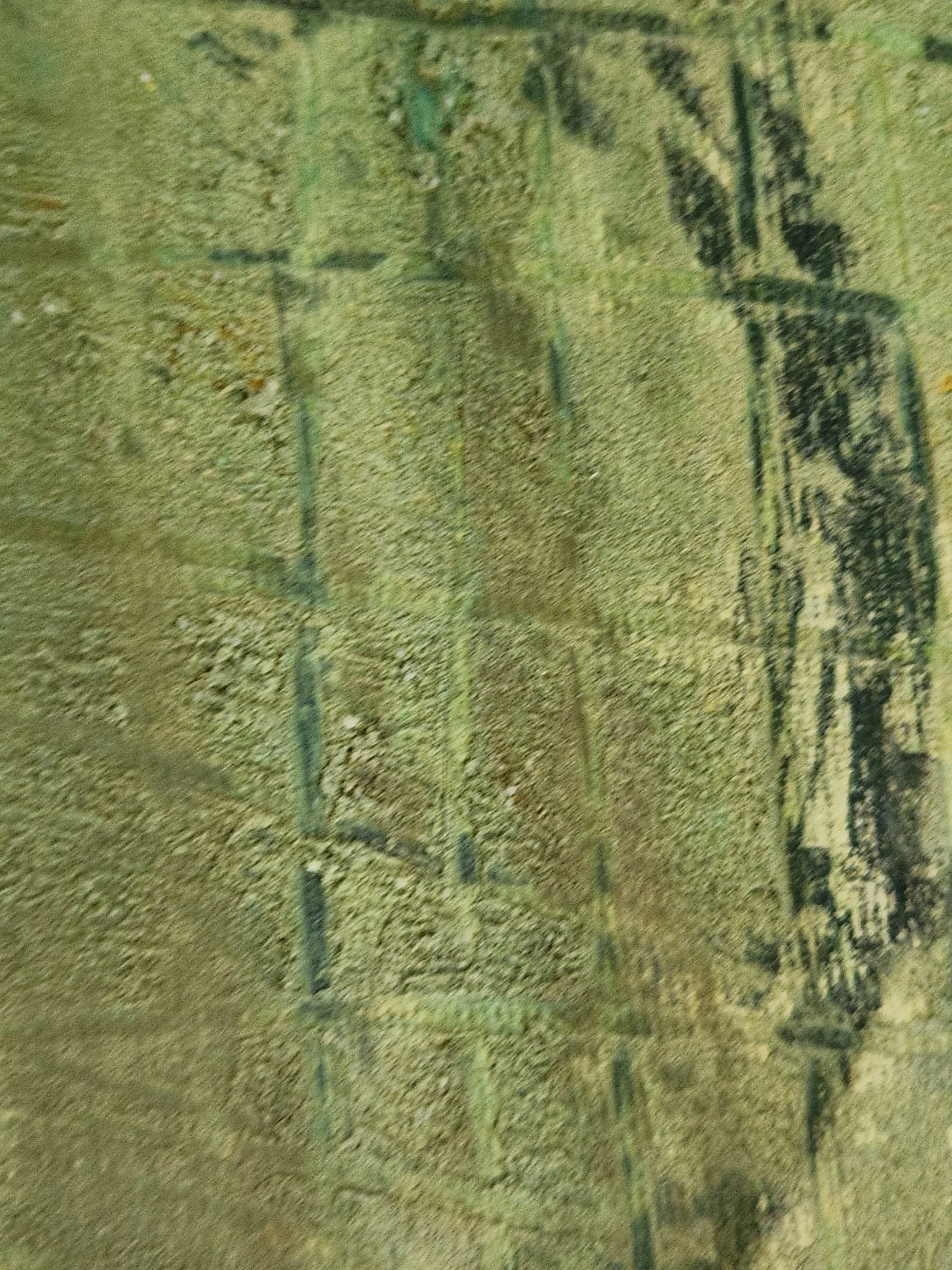 weight of silence _close6.jpeg