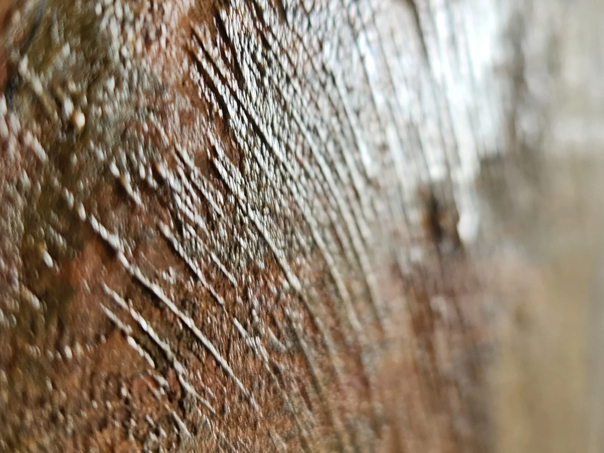 radical honesty_details 97.jpeg