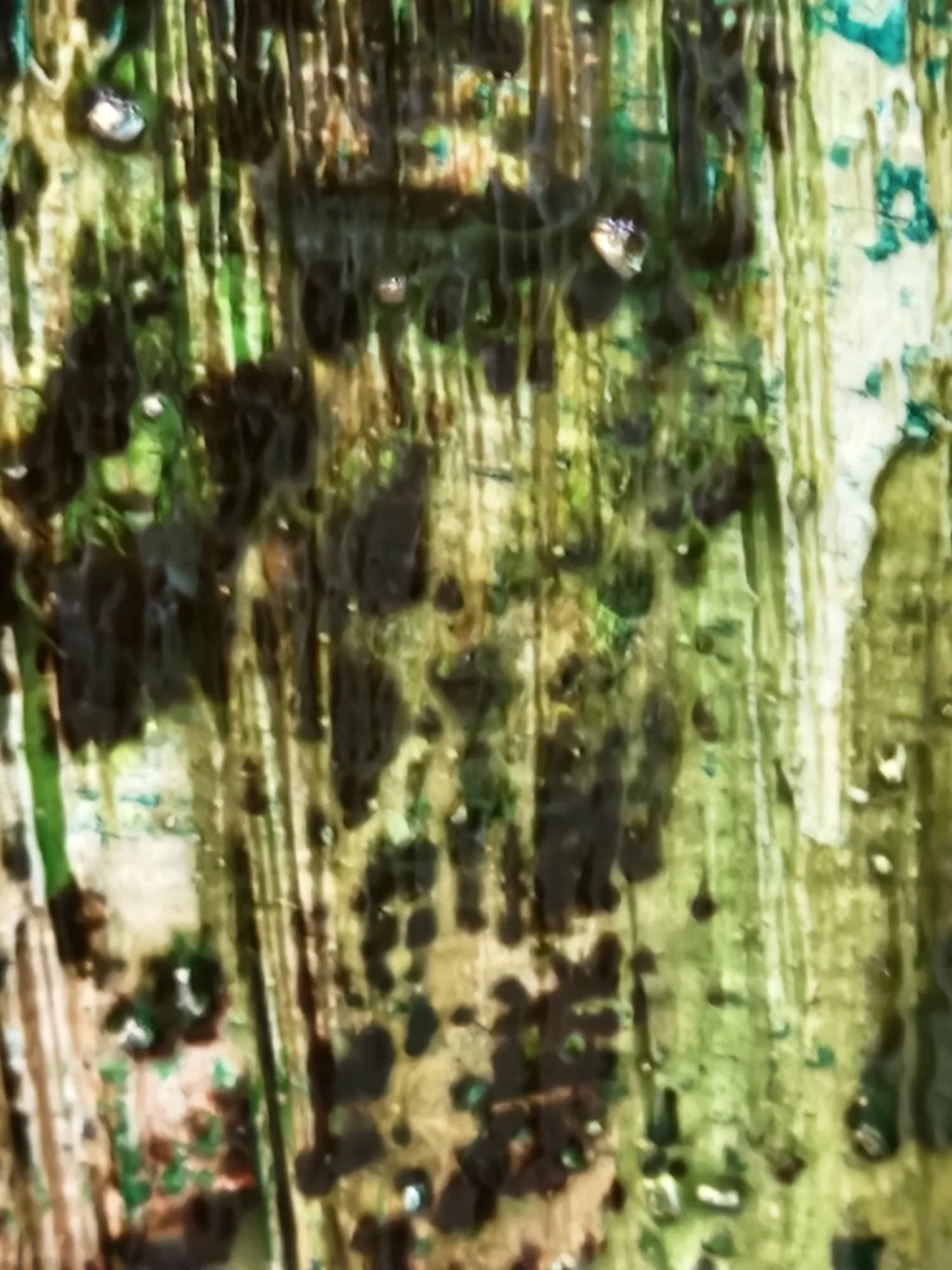 art for italian taste