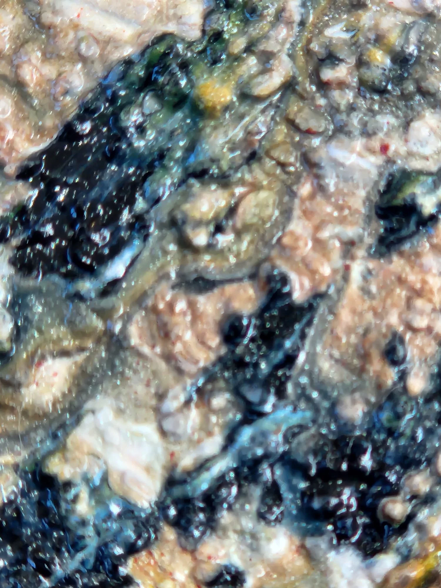 Untitled - Field I _ texture.jpeg