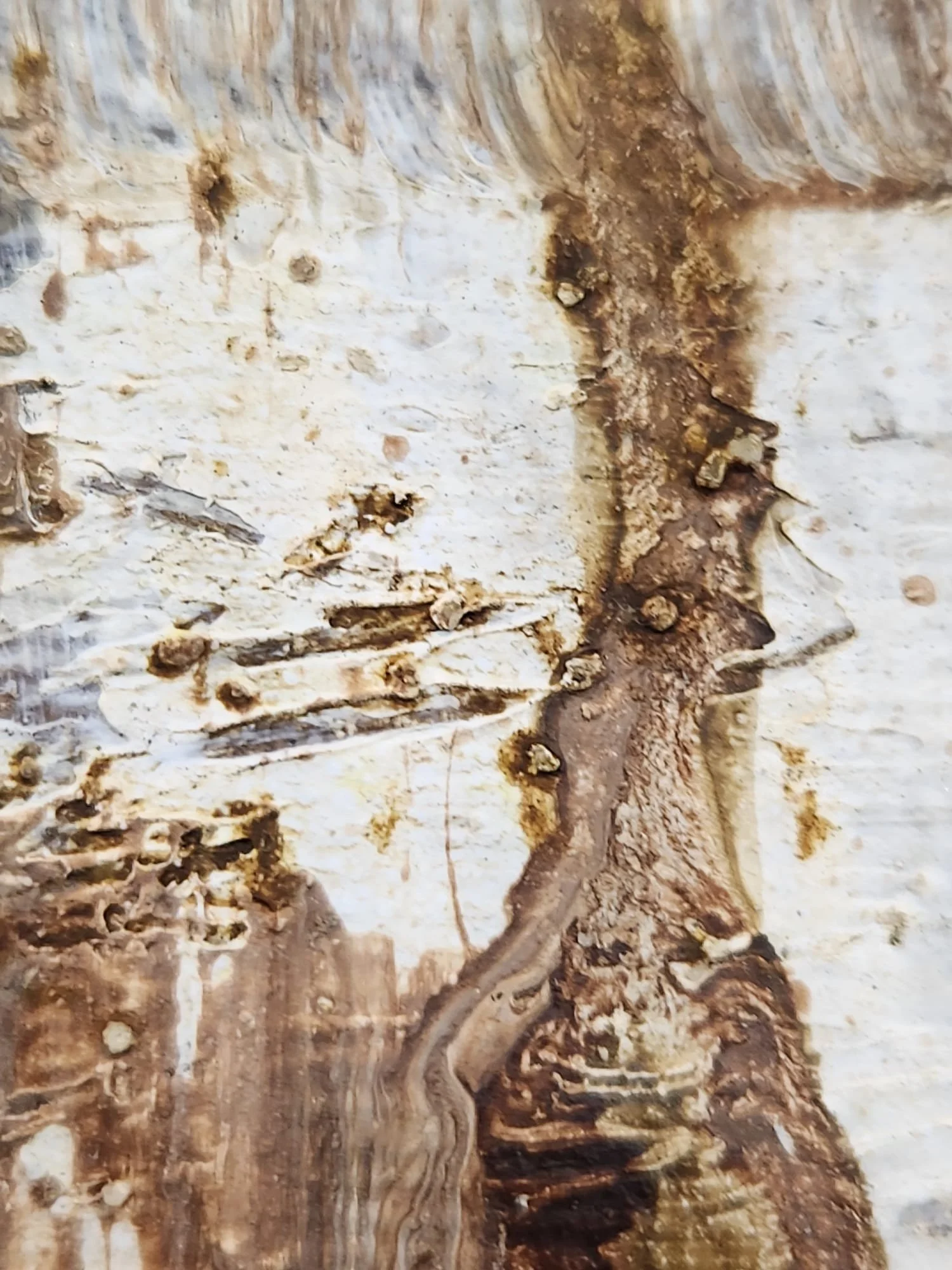 Archeology of Strenght and Courage_texturedsurface8.jpeg