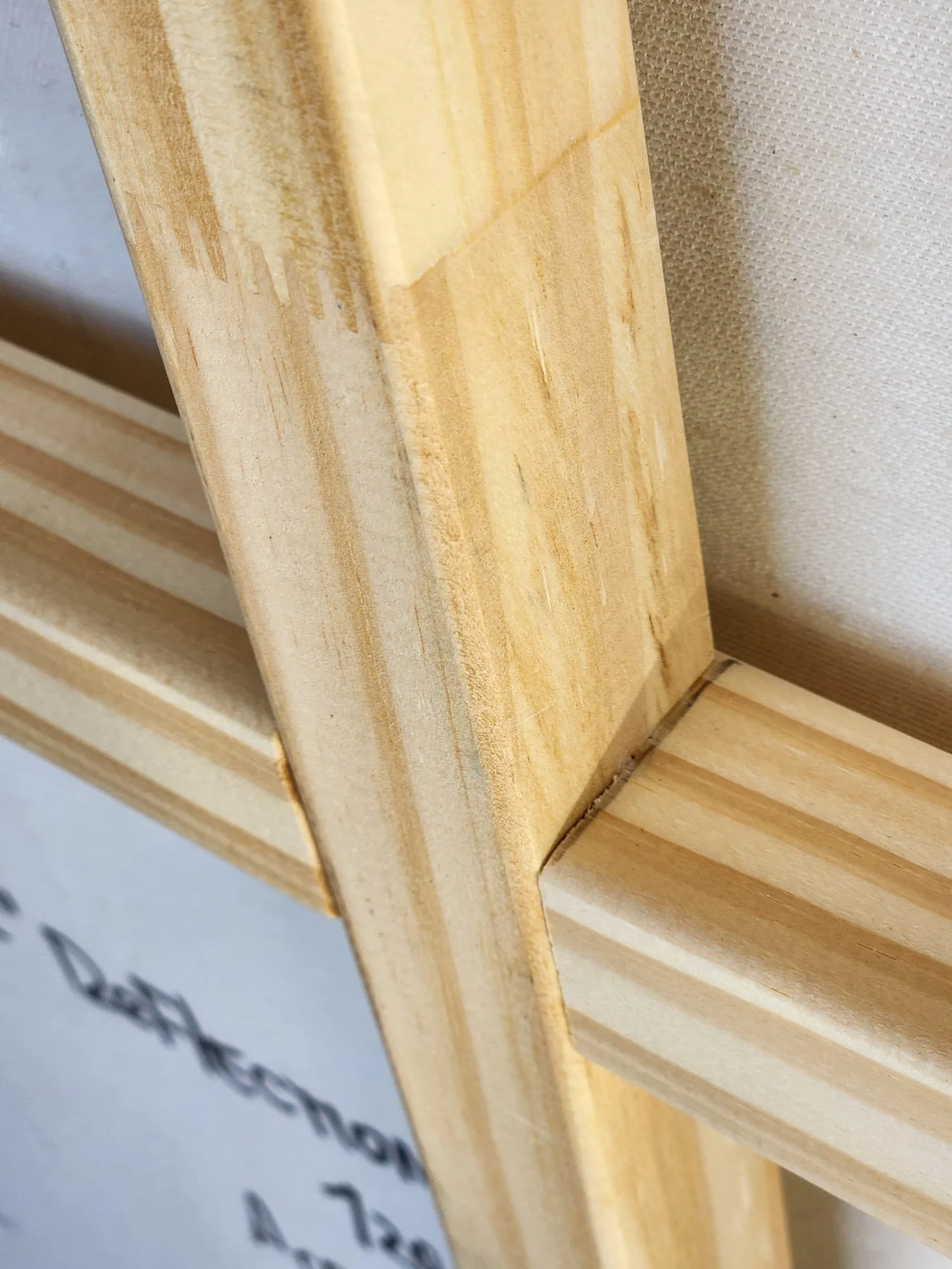 Reflections beyond the line_back.jpeg