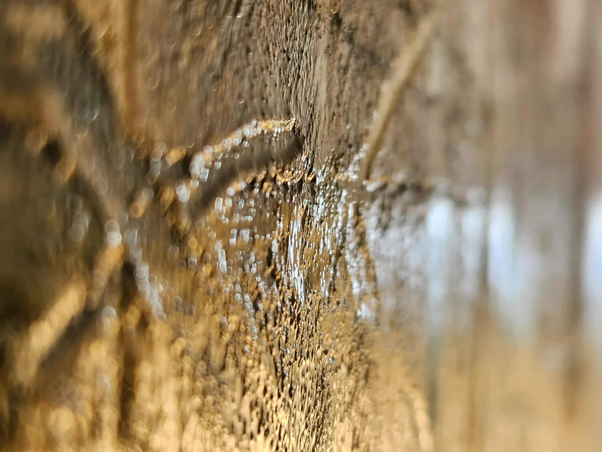 radical honesty_closeup567.jpeg