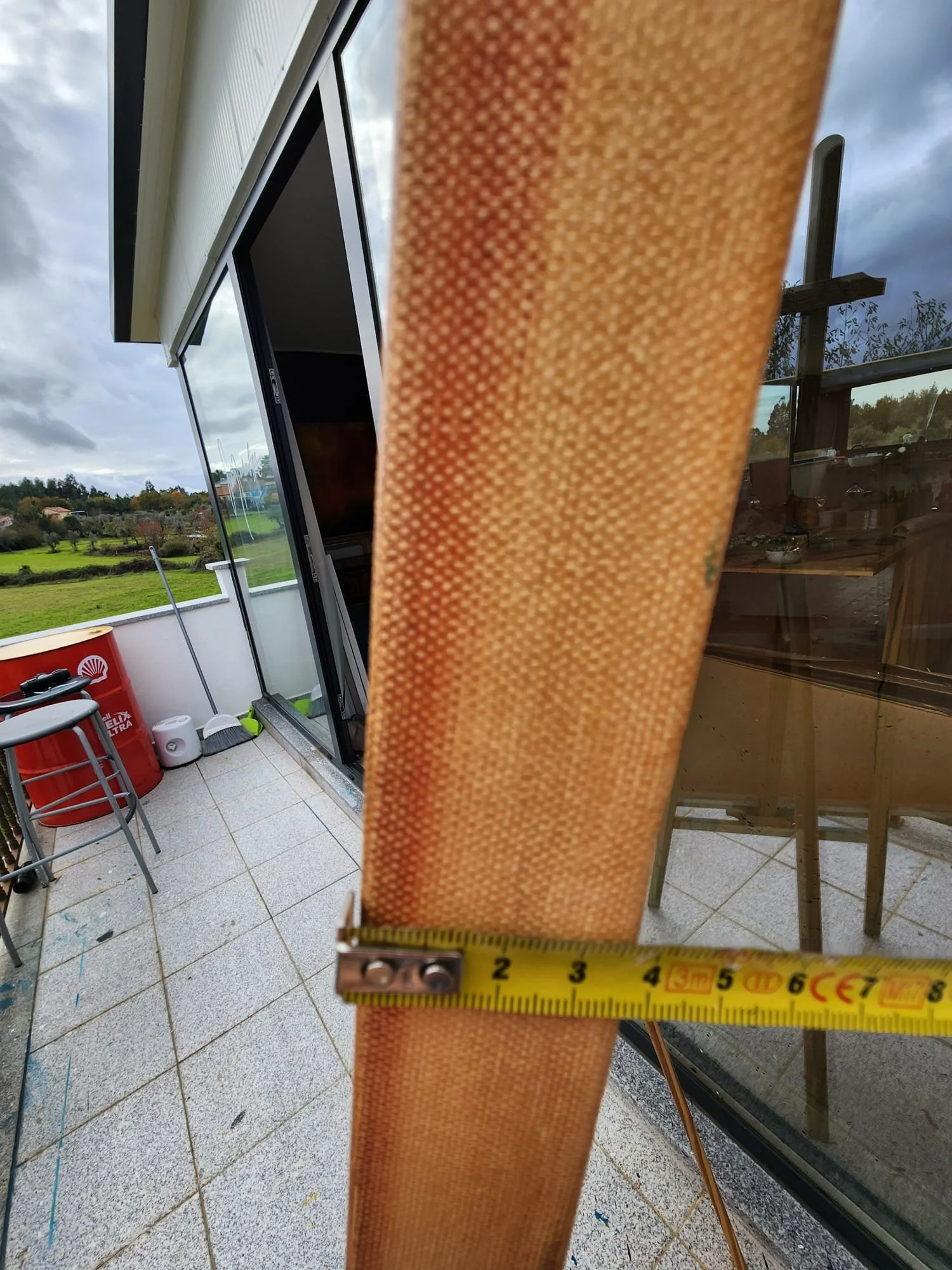 Field of Dandelion_ edges.jpeg