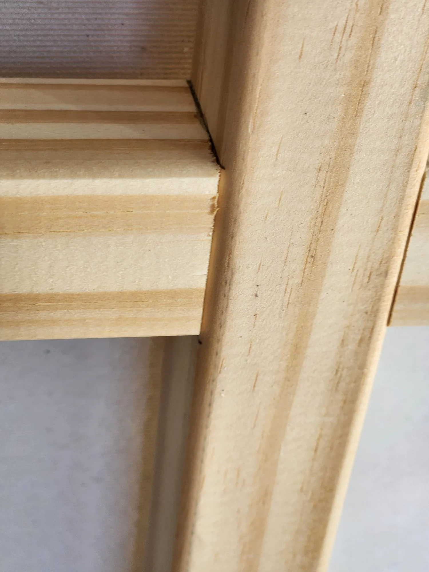 Reflections beyond the line_back9.jpeg