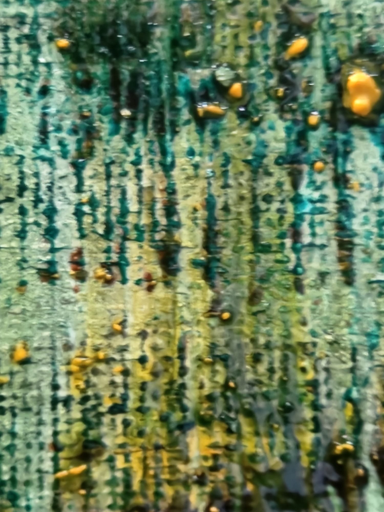 Grounded_ textured.jpeg