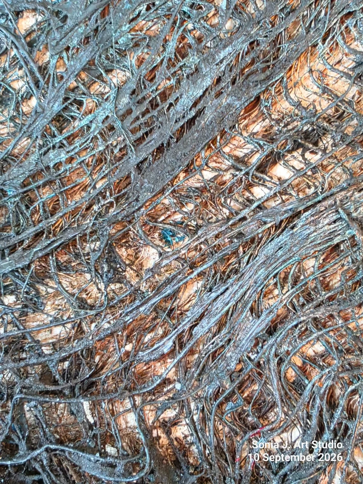 Where Blue Holds Distant Ground_Texture2.jpeg