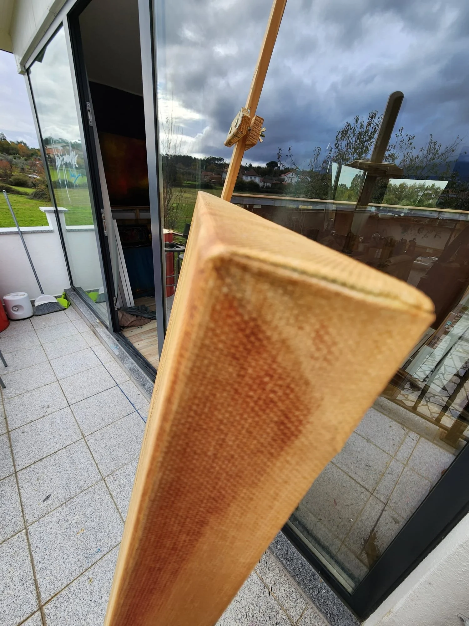 Fields of Dandelion_edges.jpeg