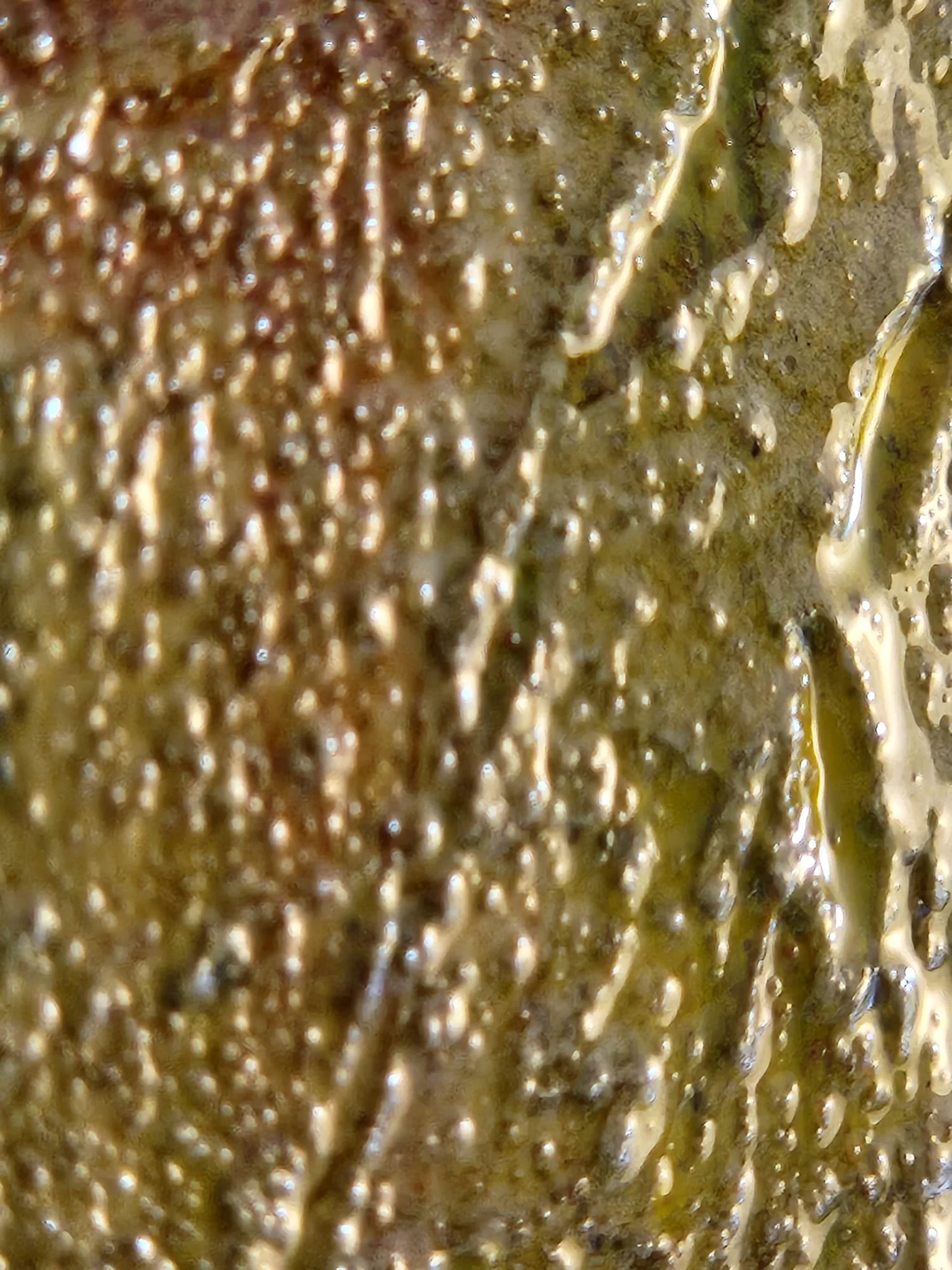 MicelicaN2_ closeup765.jpeg