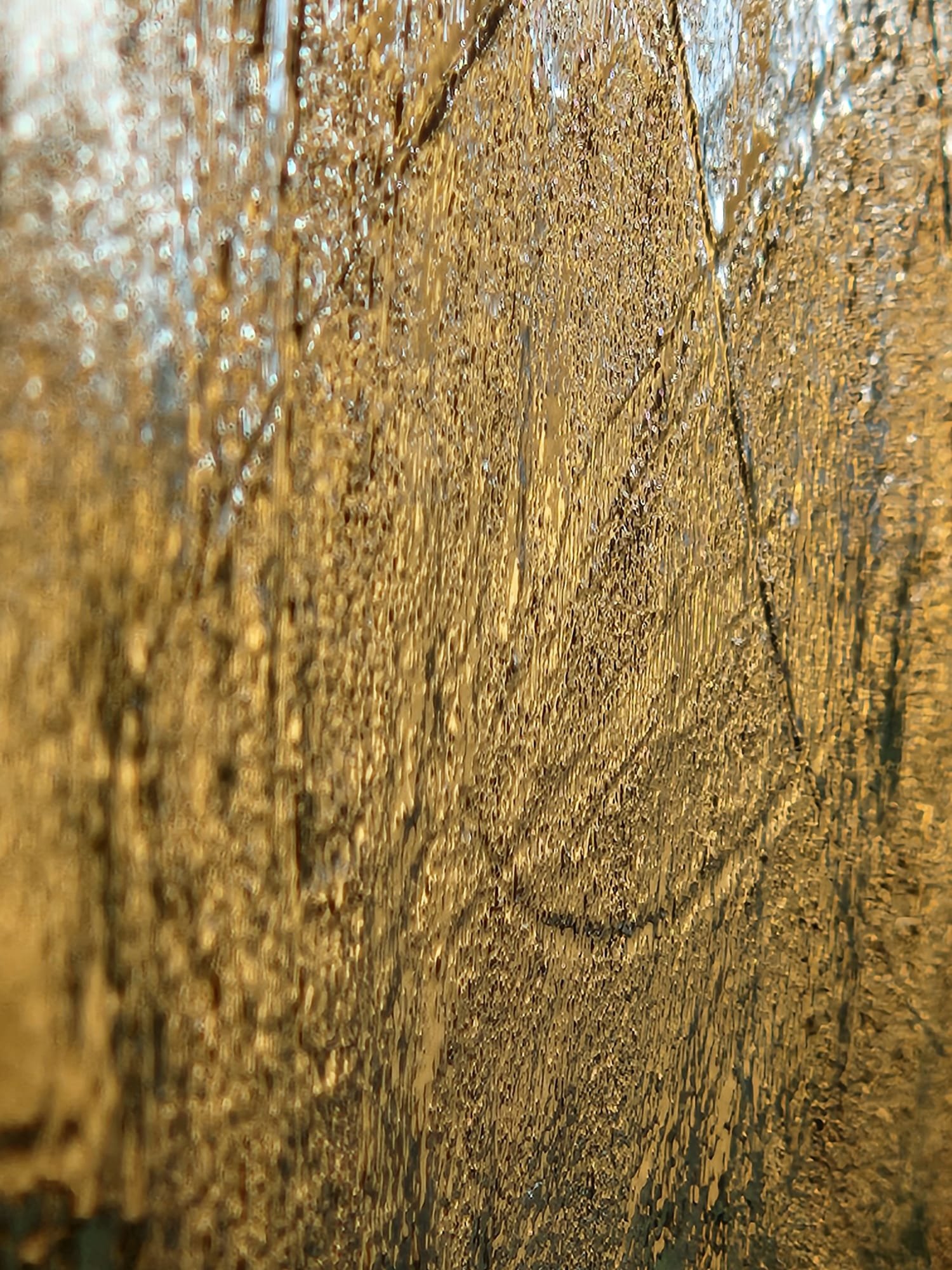 MicelicaN2_ closeup32.jpeg