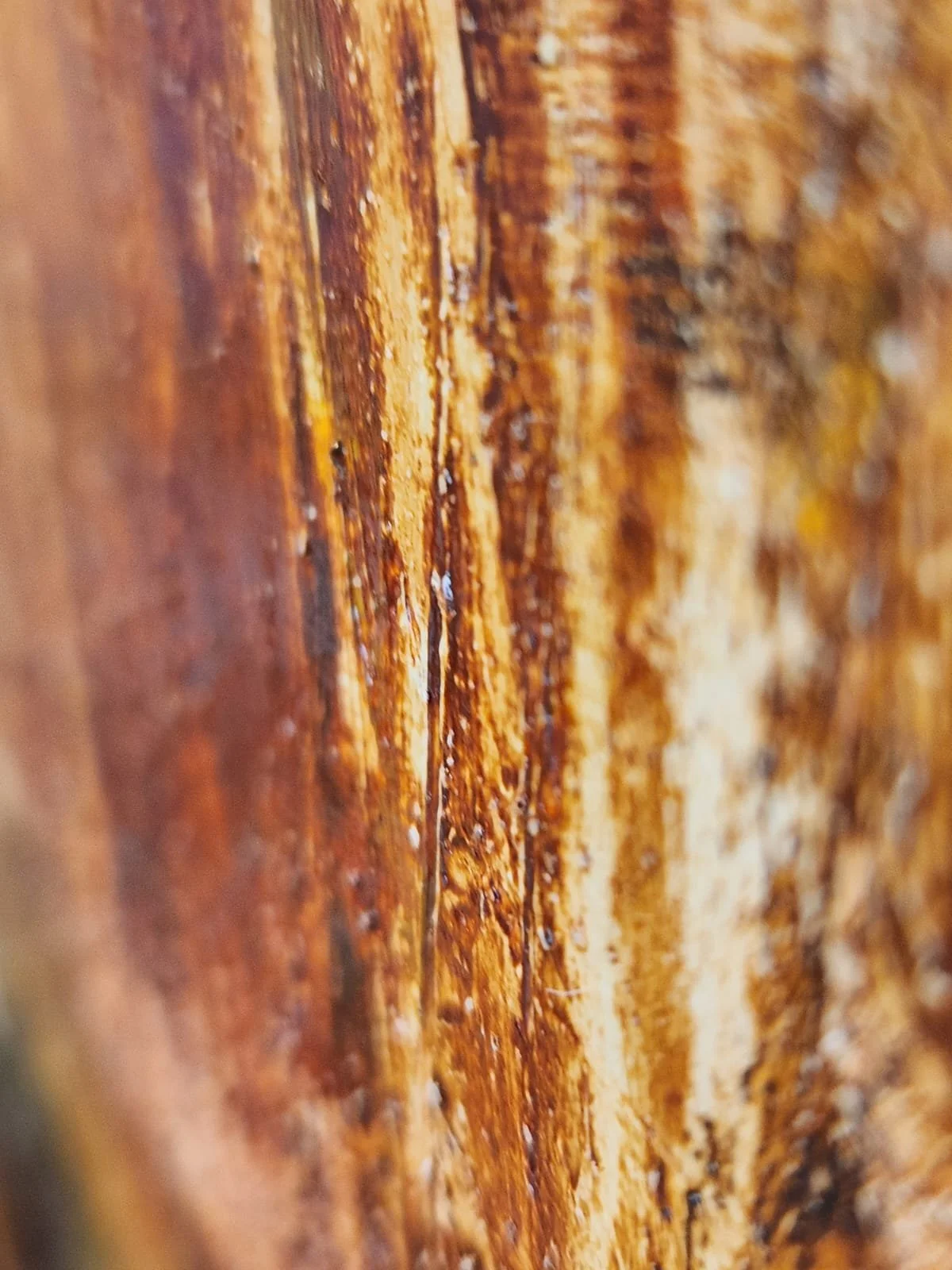 Archeology of Light_ textured surface.jpeg