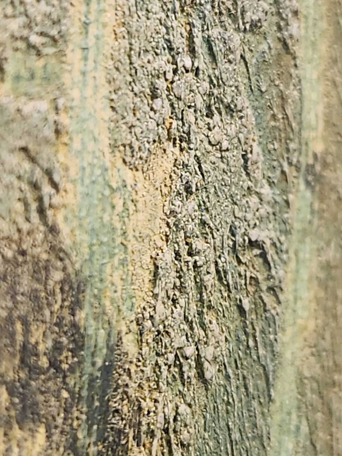 THE WEIGHT OF SILENCE _close up2.jpeg