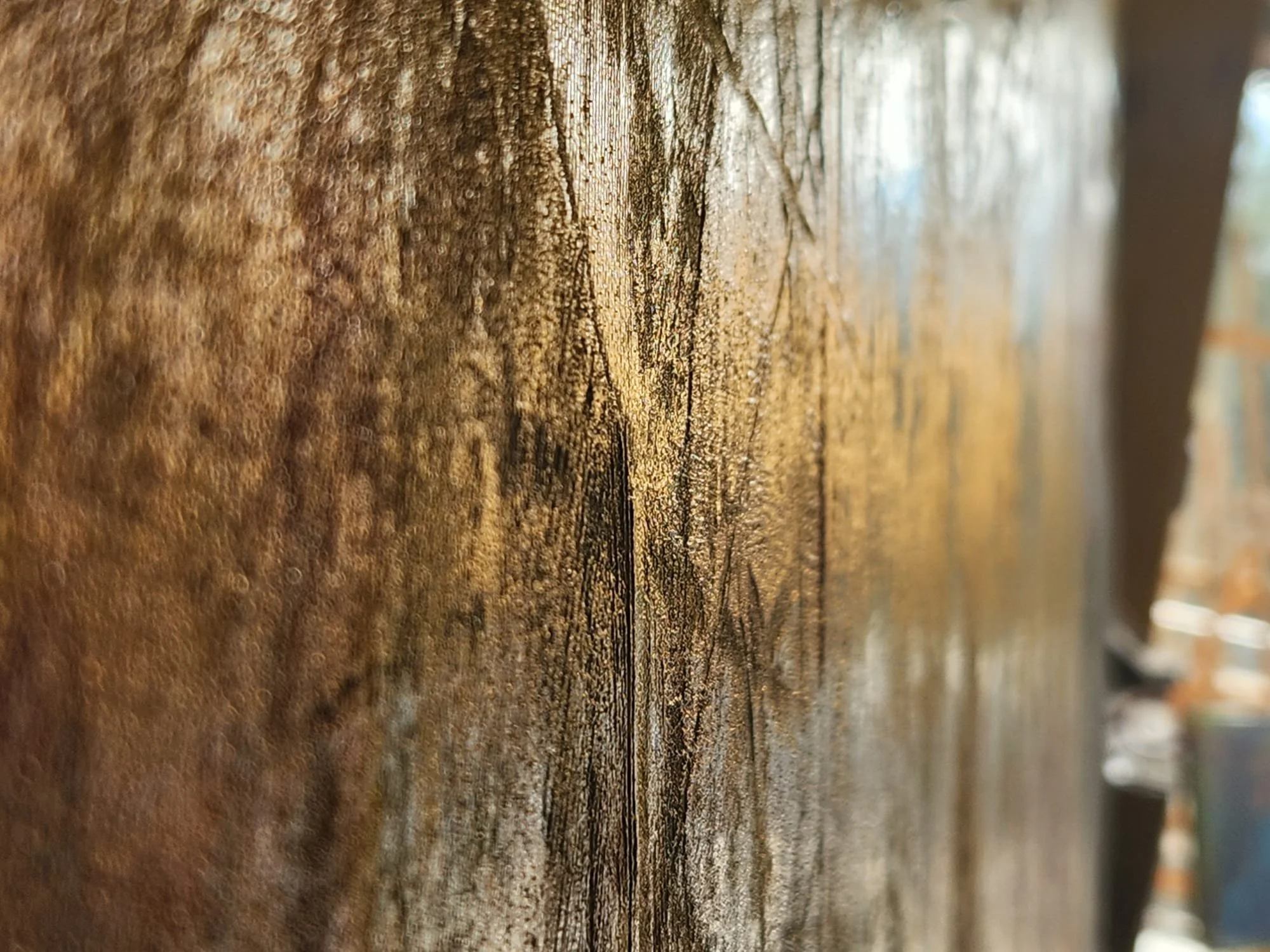 radical honesty_closeup4657.jpeg