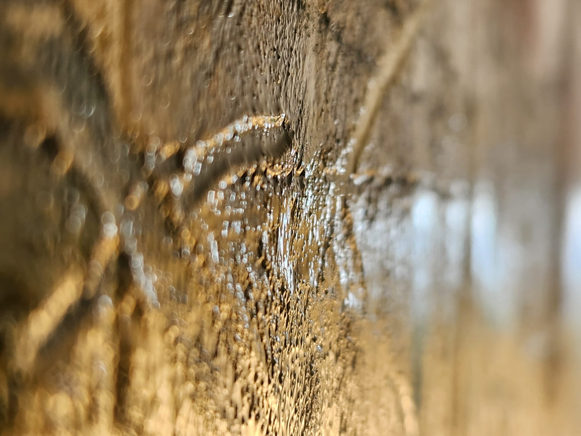 radical honesty_closeup567.jpeg