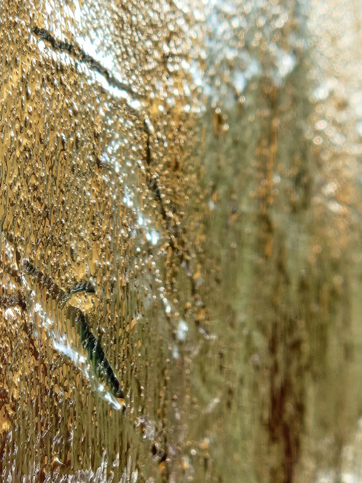 MicelicaN2_ closeup780.jpeg