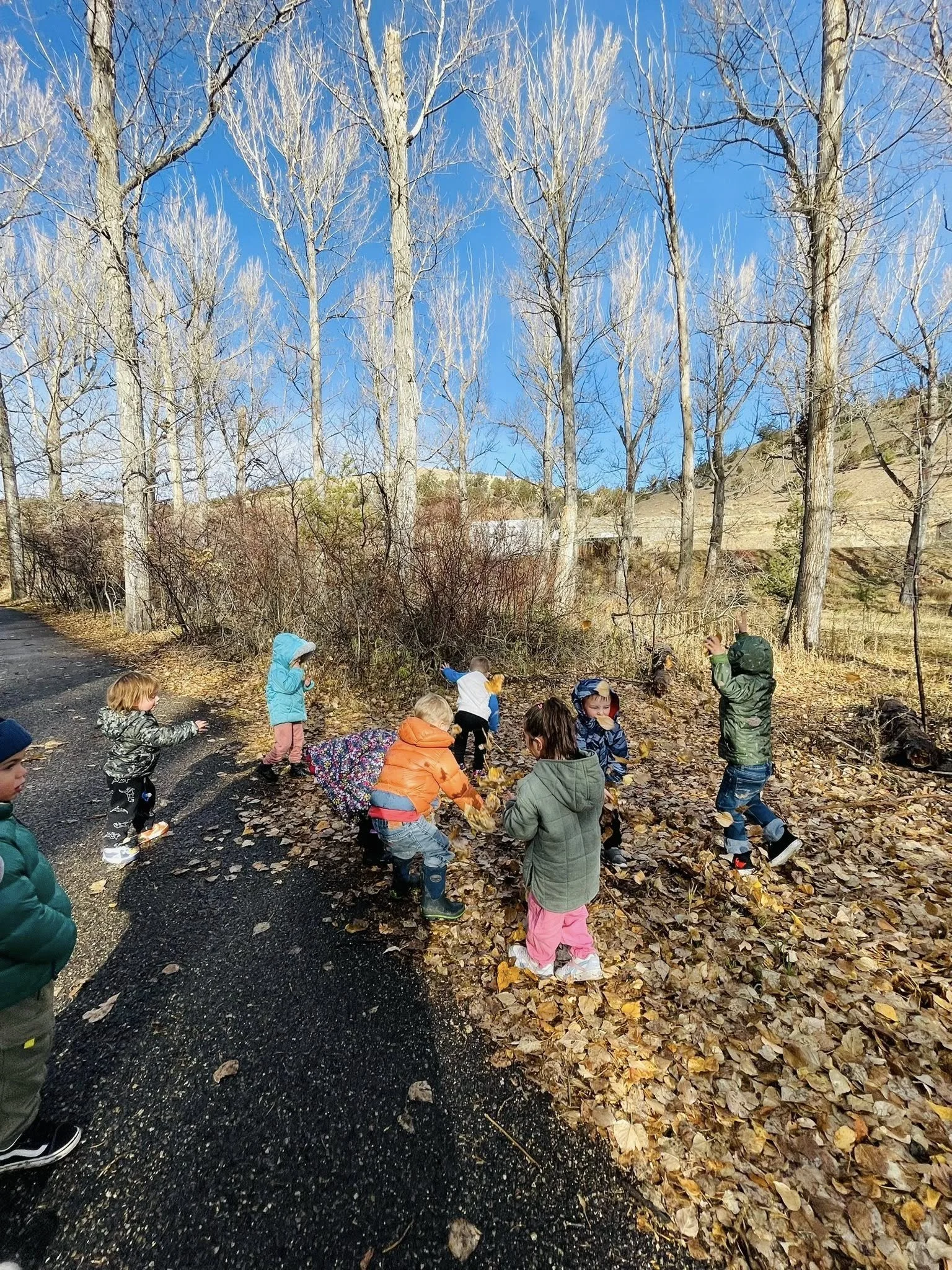 Children playing and exploring fallen leaves on a dirt and paved path in a leafless wooded area with hills under a bright blue sky.