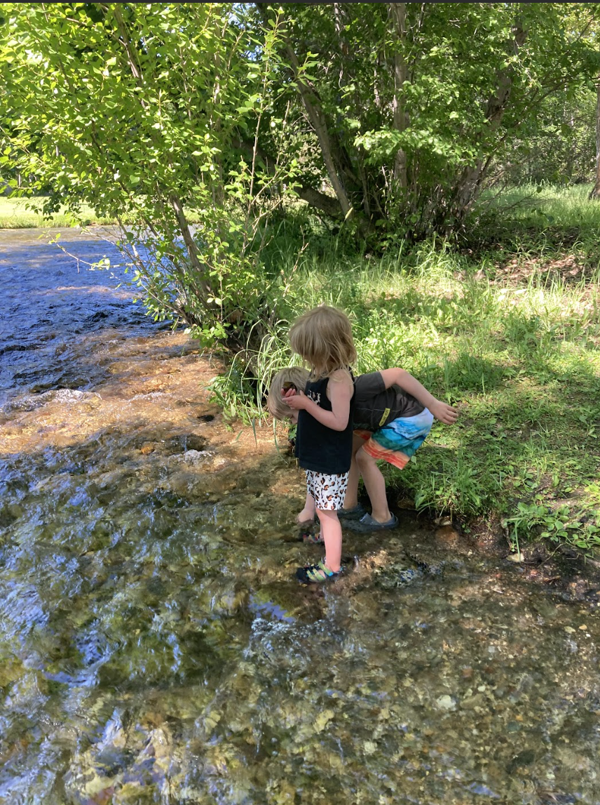 Two children, a boy and a girl, playing and exploring in a shallow creek near green trees and grass on a sunny day.