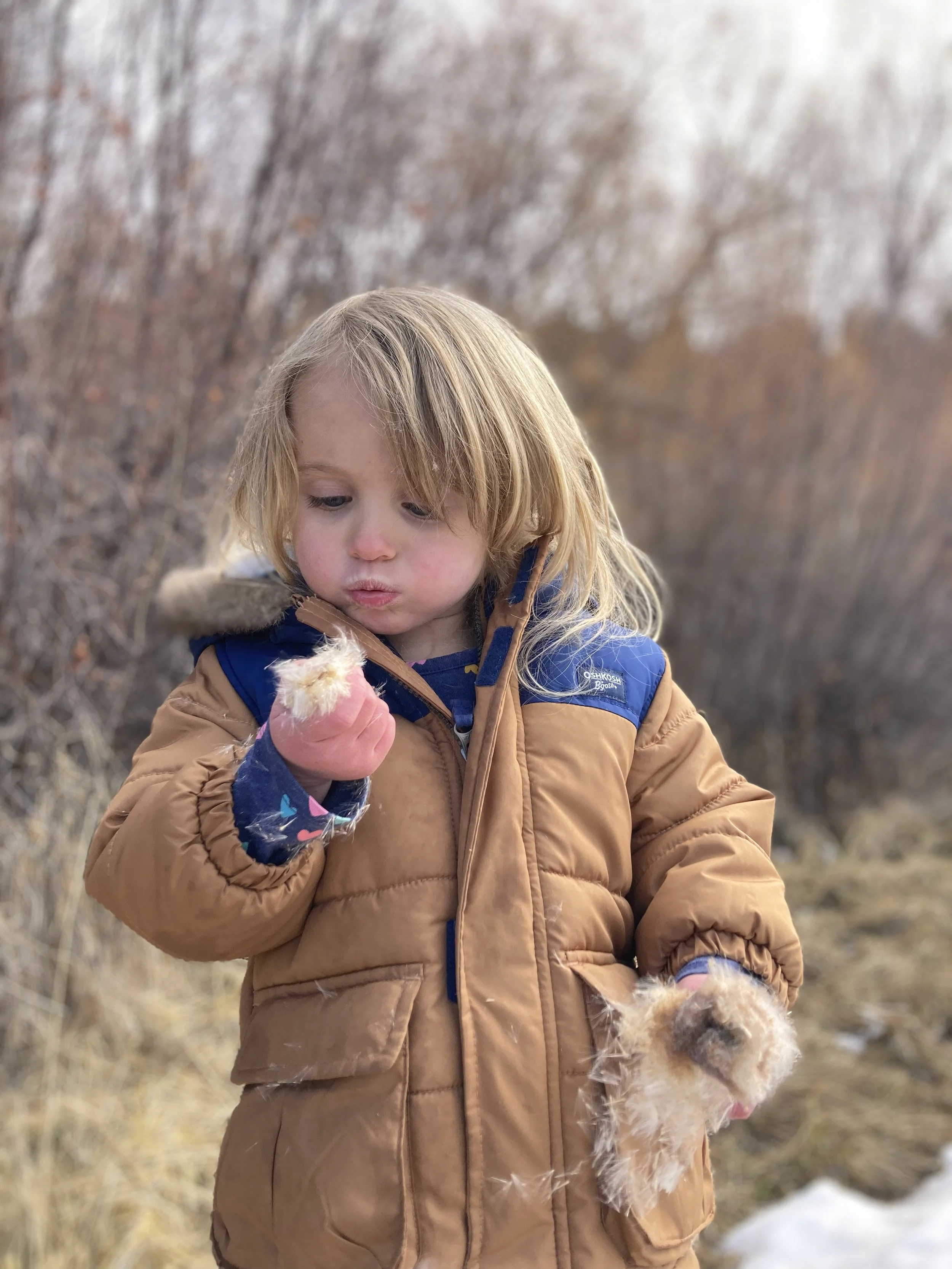 A young child with blonde hair, wearing a brown winter jacket with blue accents, holding a small fluffy chick in each hand, standing outdoors in a natural setting during autumn or winter.