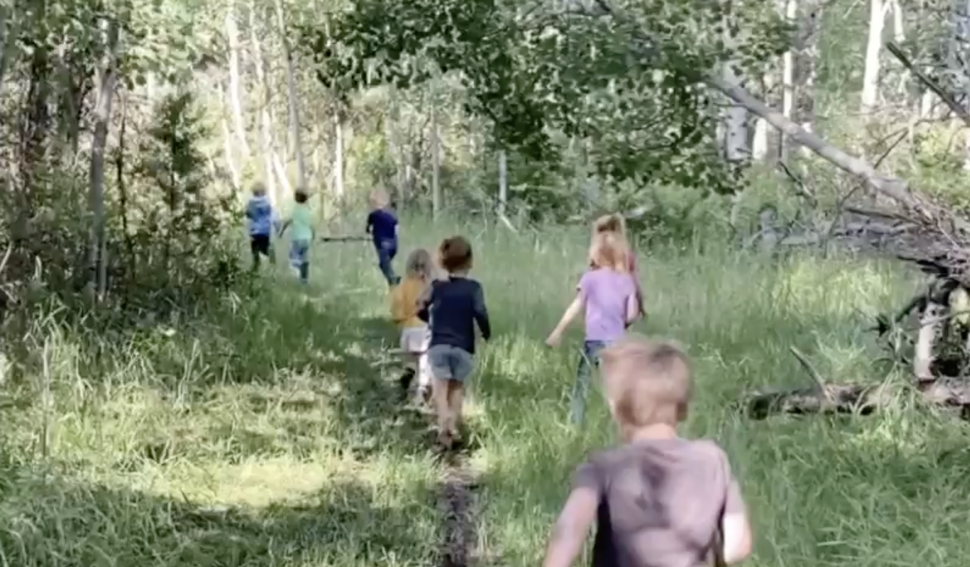 Screenshot 2025-11-20 at 3.07.17 PM.png