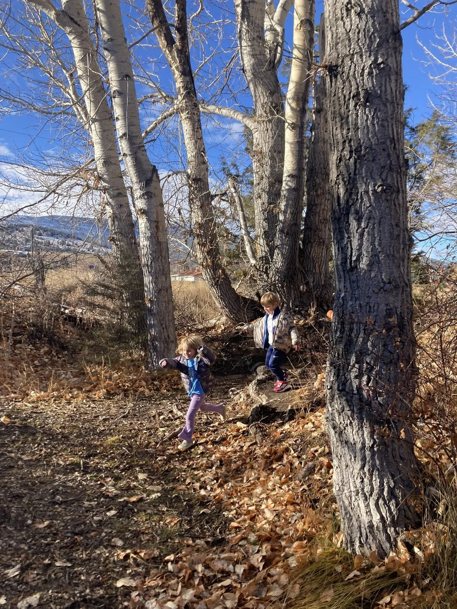 Two young children, a boy and a girl, playing and running down a wooded trail covered in fallen leaves during daytime. Large trees with bare branches are in the background, and the sky is mostly clear with some clouds.