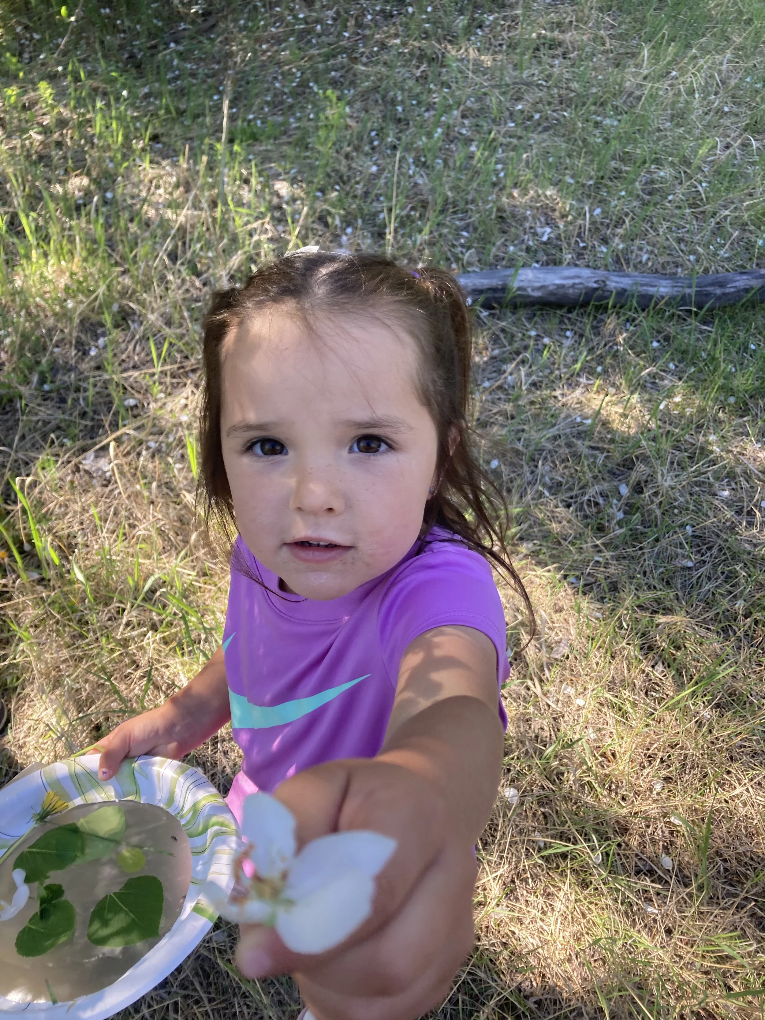 A young girl with brown hair and big brown eyes wearing a purple shirt with a blue swoosh logo, holding a white plate with lily pads and white flowers, standing in a grassy outdoor area with shadows from trees.