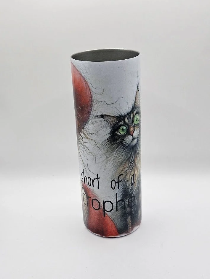 cat lady 2 20260320_145619.jpg