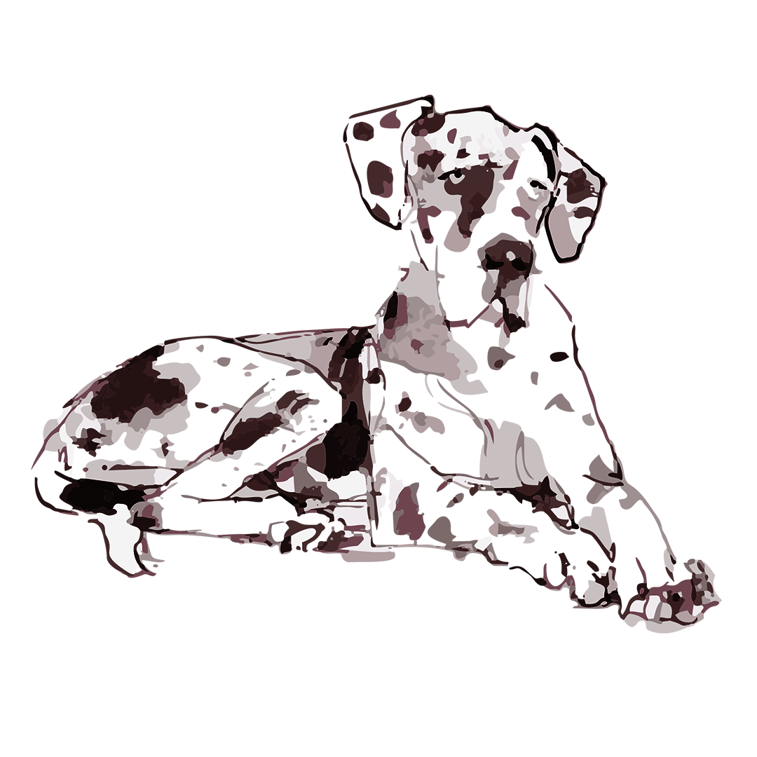 Stylized digital illustration of a Dalmatian dog sitting on a neutral surface, facing left, with a black background.
