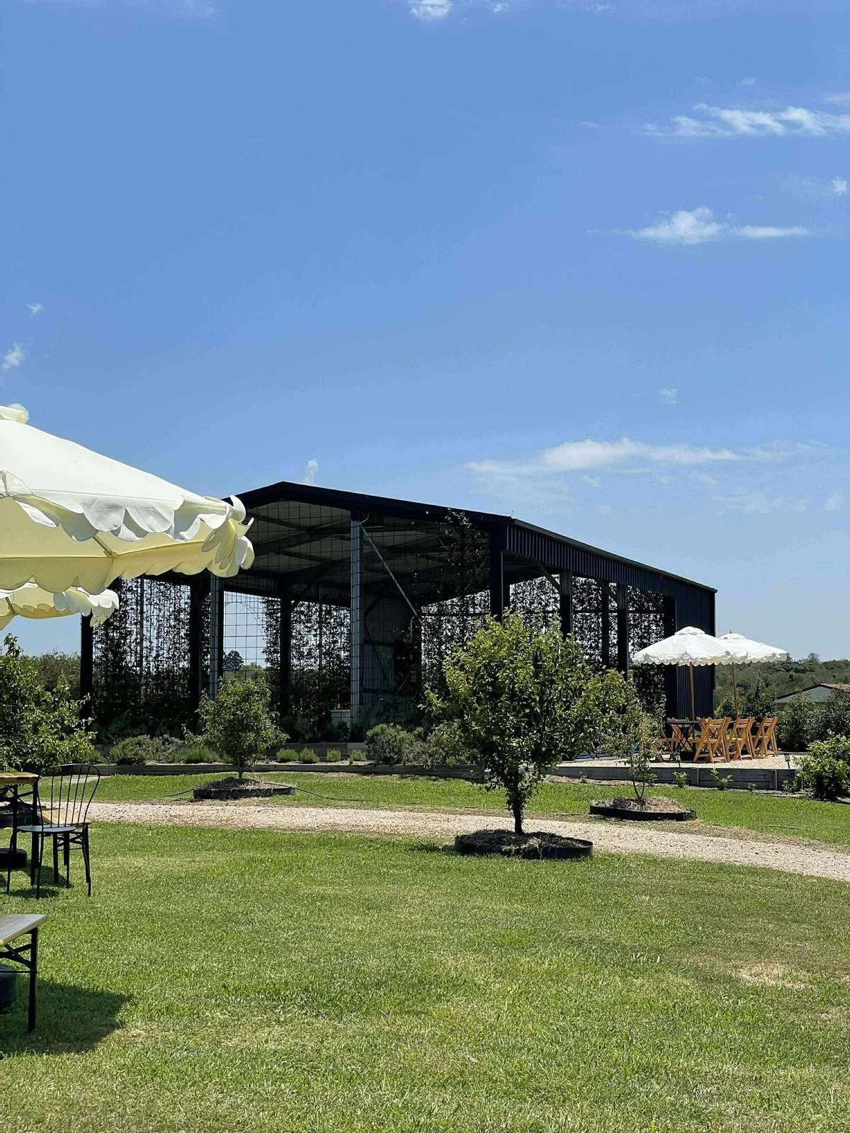 WhatsApp Image 2026-01-21 at 10.46.00 PM.jpeg