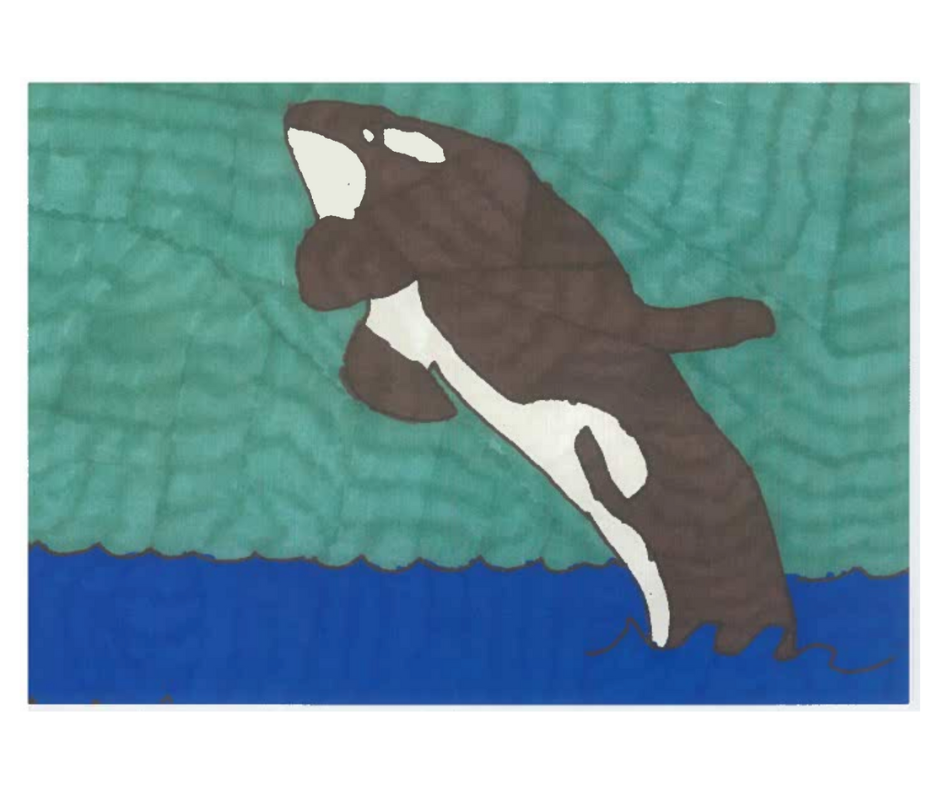 Killer Whale 2.png
