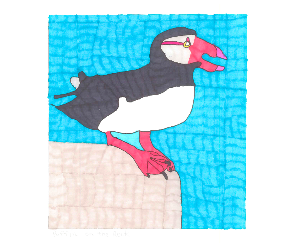 Puffin on the Rock