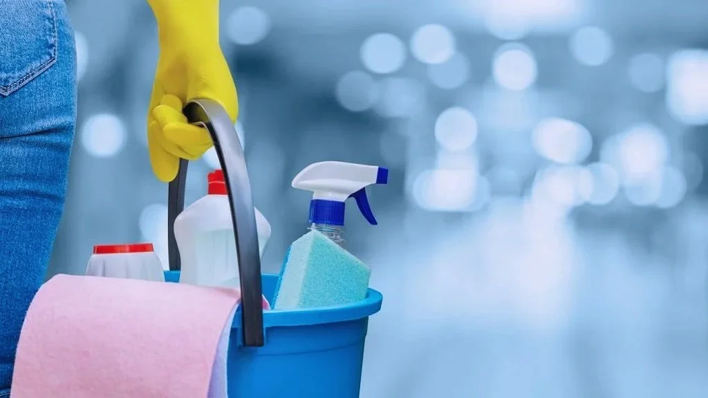 Professional Cleaning Service