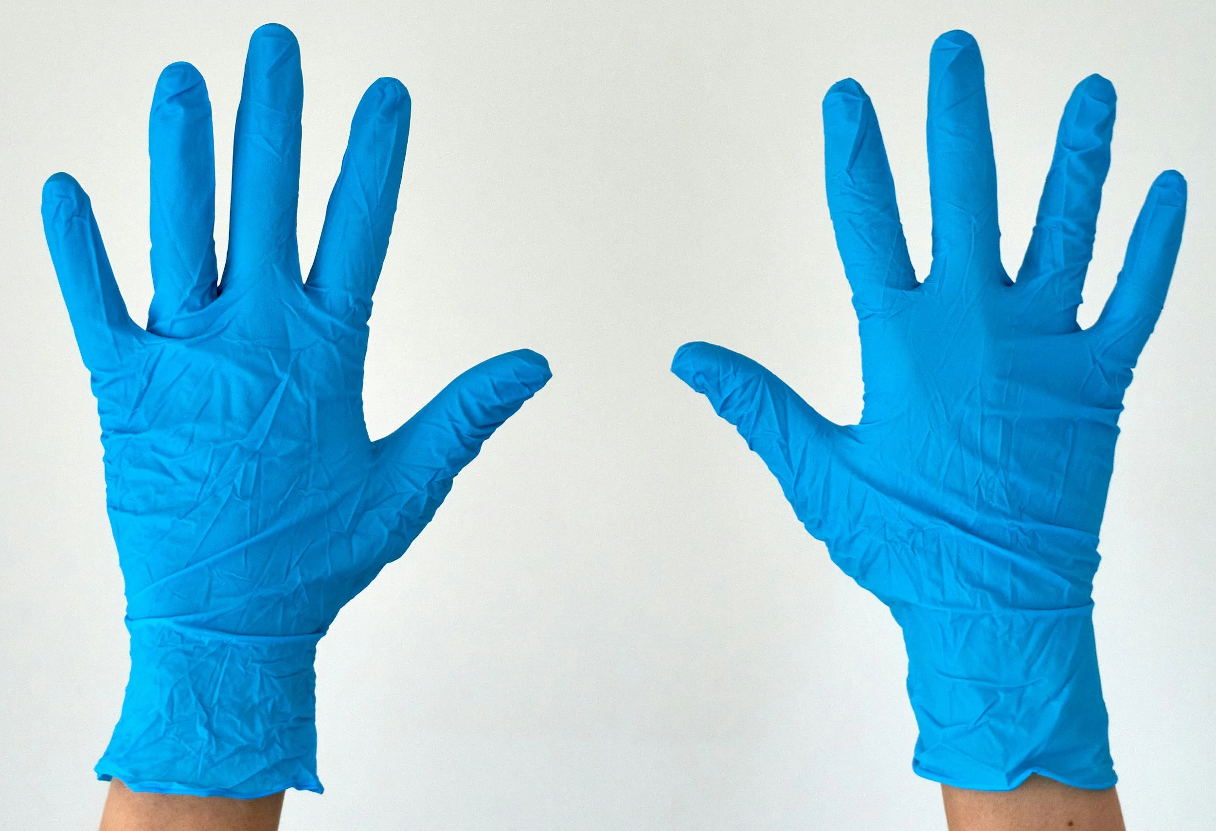 Two hands wearing blue disposable gloves are raised with palms facing out against a plain background.