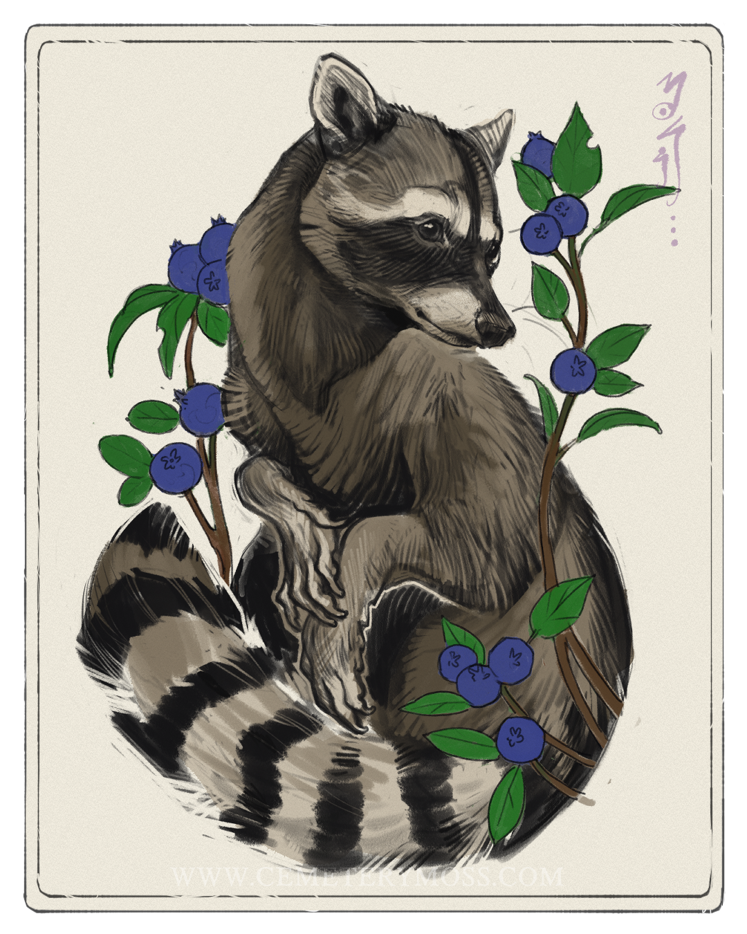 raccoon.png
