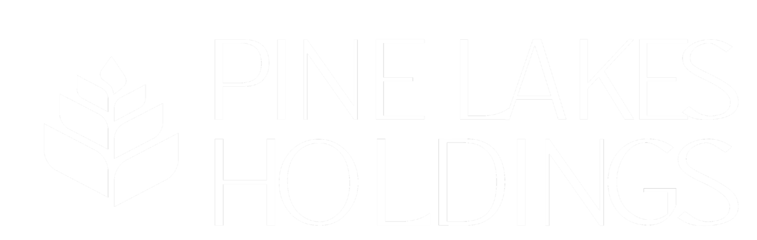 Pine Lake Holdings logo featuring a stylized pine branch to the left of the company name in white text on a black background.