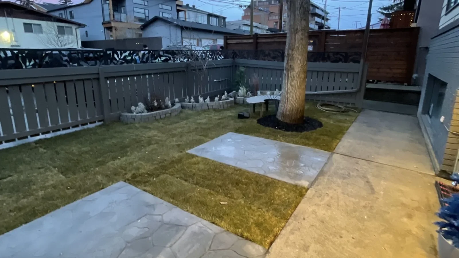 Backyard landscaping project featuring fresh sod, concrete patio pads, and mature tree at a residential property in Calgary