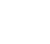 Brush Icon
