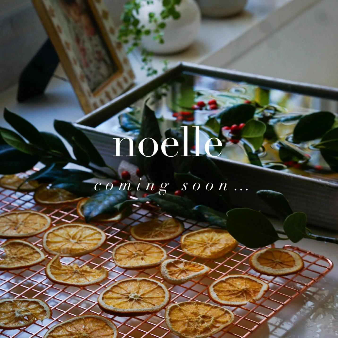 Building something new this holiday season&hellip; ✨🤍