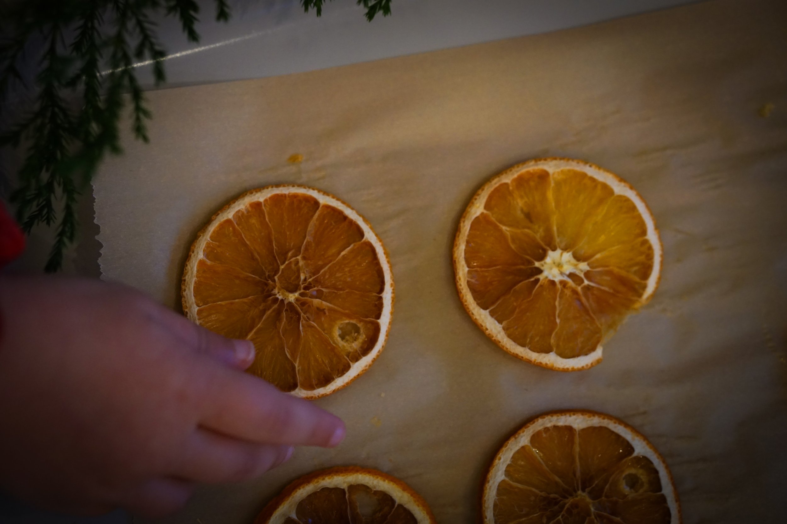 Noelle Photography_Orange Garland_20251204 (23).JPG