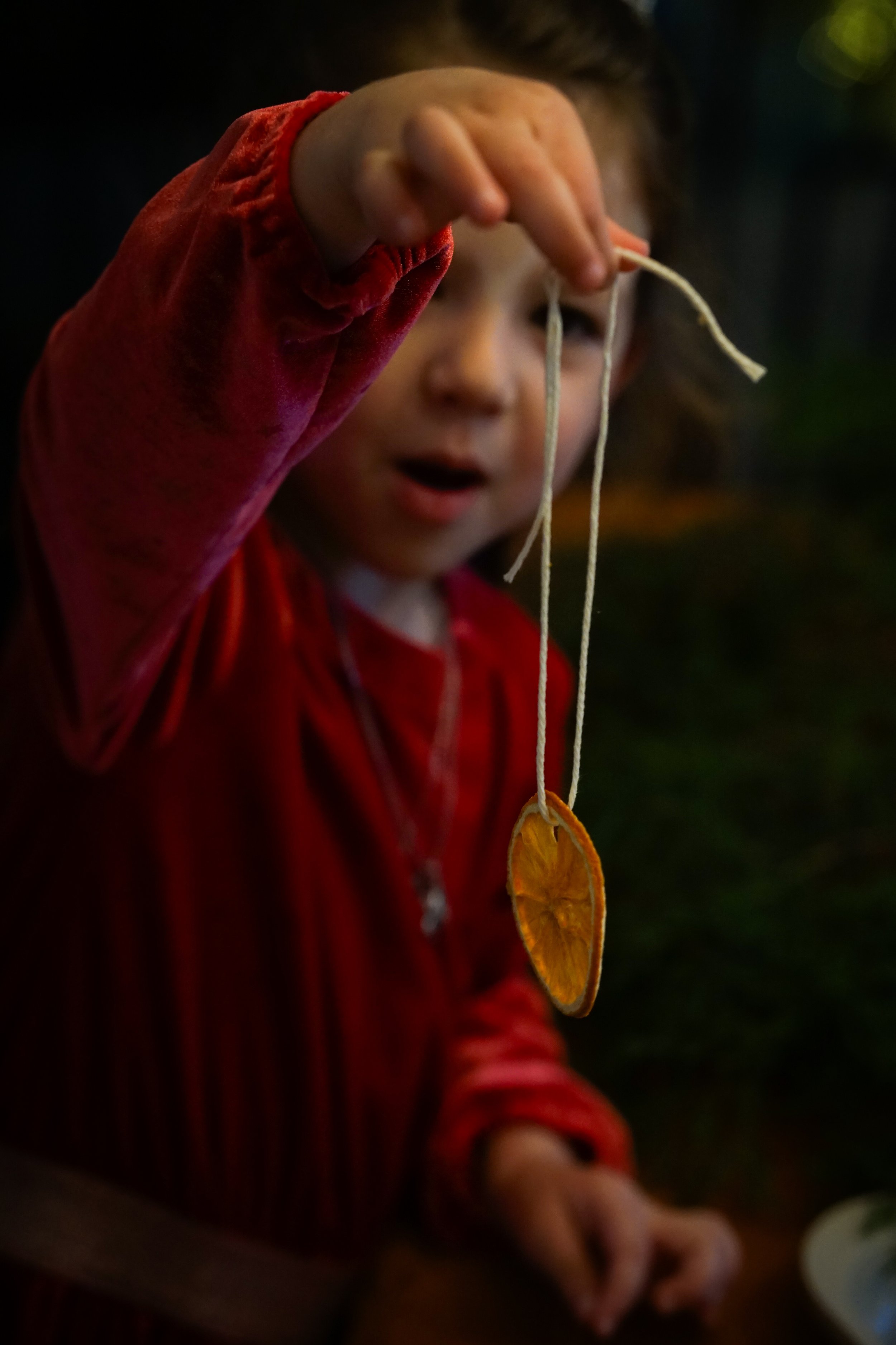 Noelle Photography_Orange Garland_20251204 (26).JPG