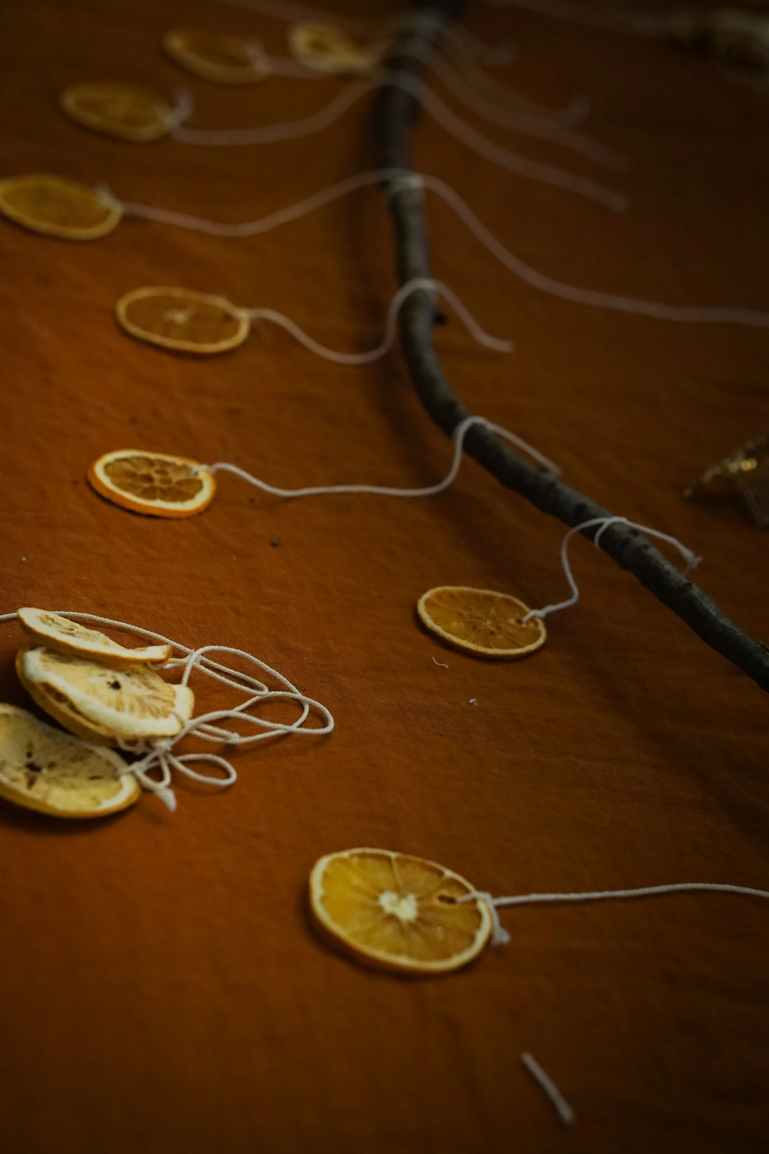 Noelle Photography_Orange Garland_20251204 (28).JPG