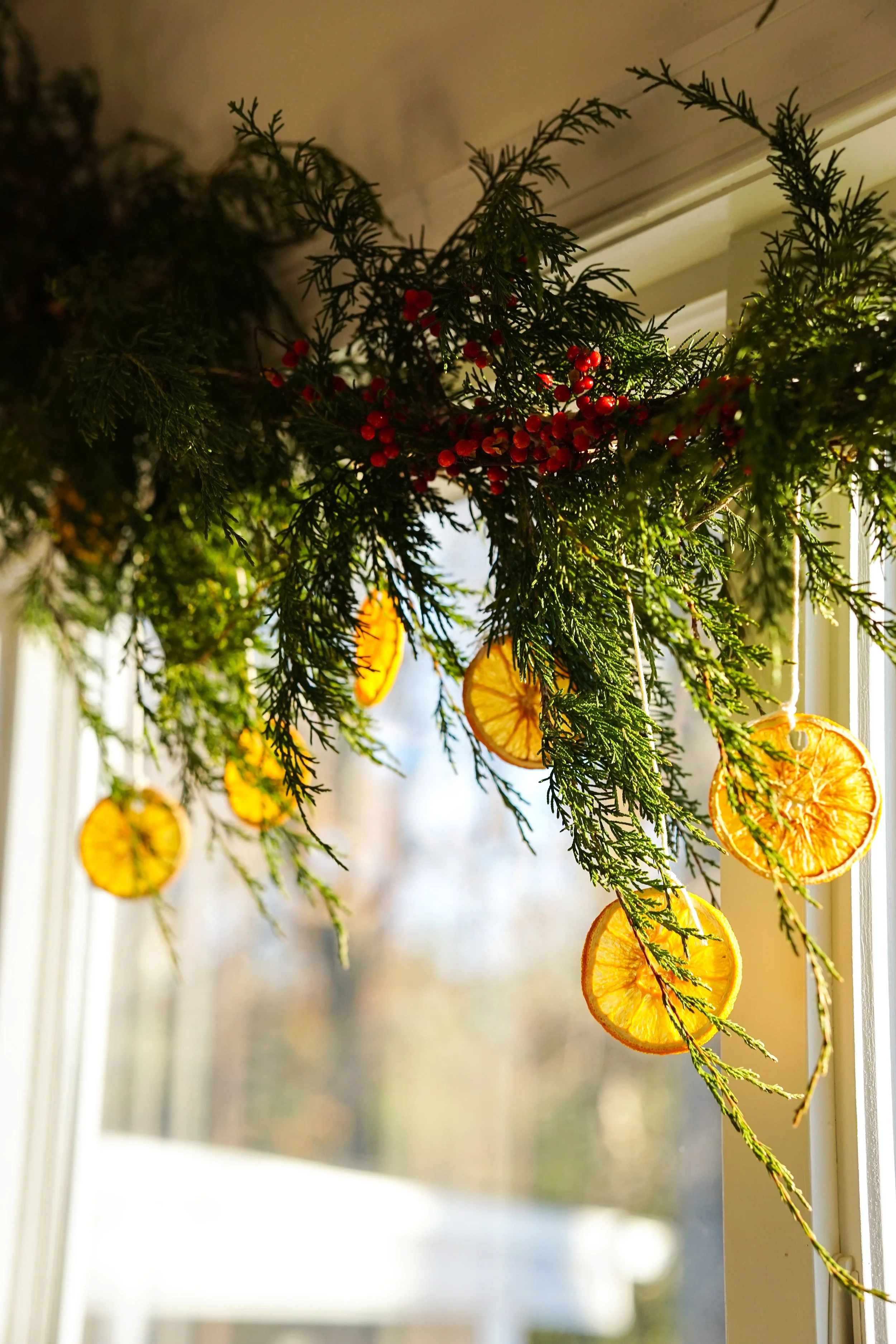 Fresh greenery, dried oranges and other early December musings
