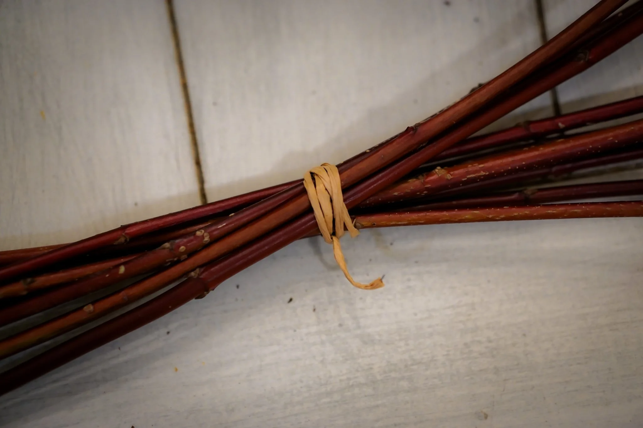 Noelle Photography_Chandelier Florals_20251224 (9).JPG