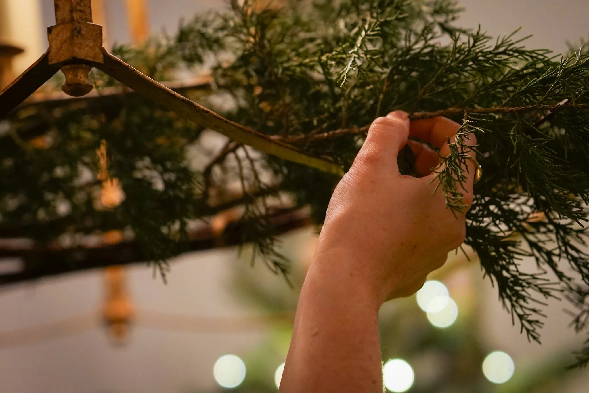 Noelle Photography_Chandelier Florals_20251224 (12).JPG