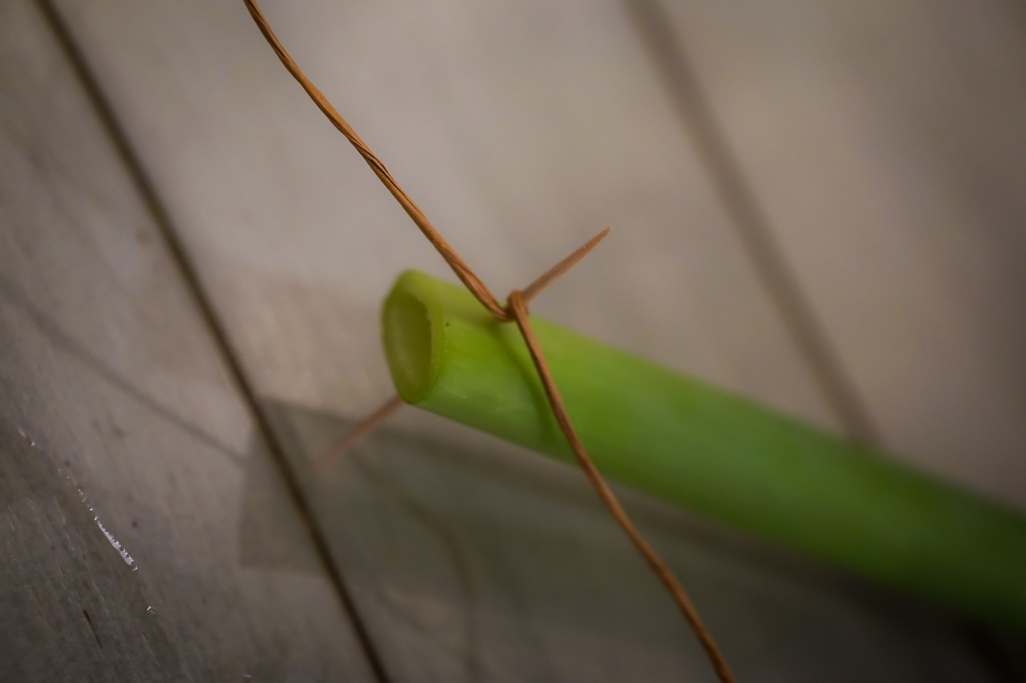 Noelle Photography_Chandelier Florals_20251224 (17).JPG