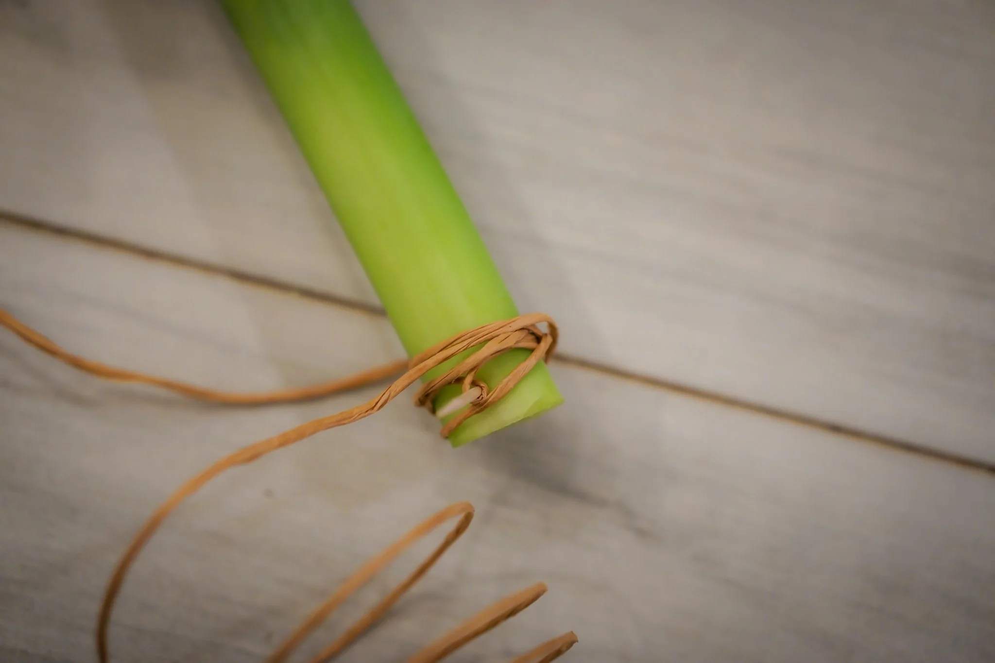 Noelle Photography_Chandelier Florals_20251224 (18).JPG