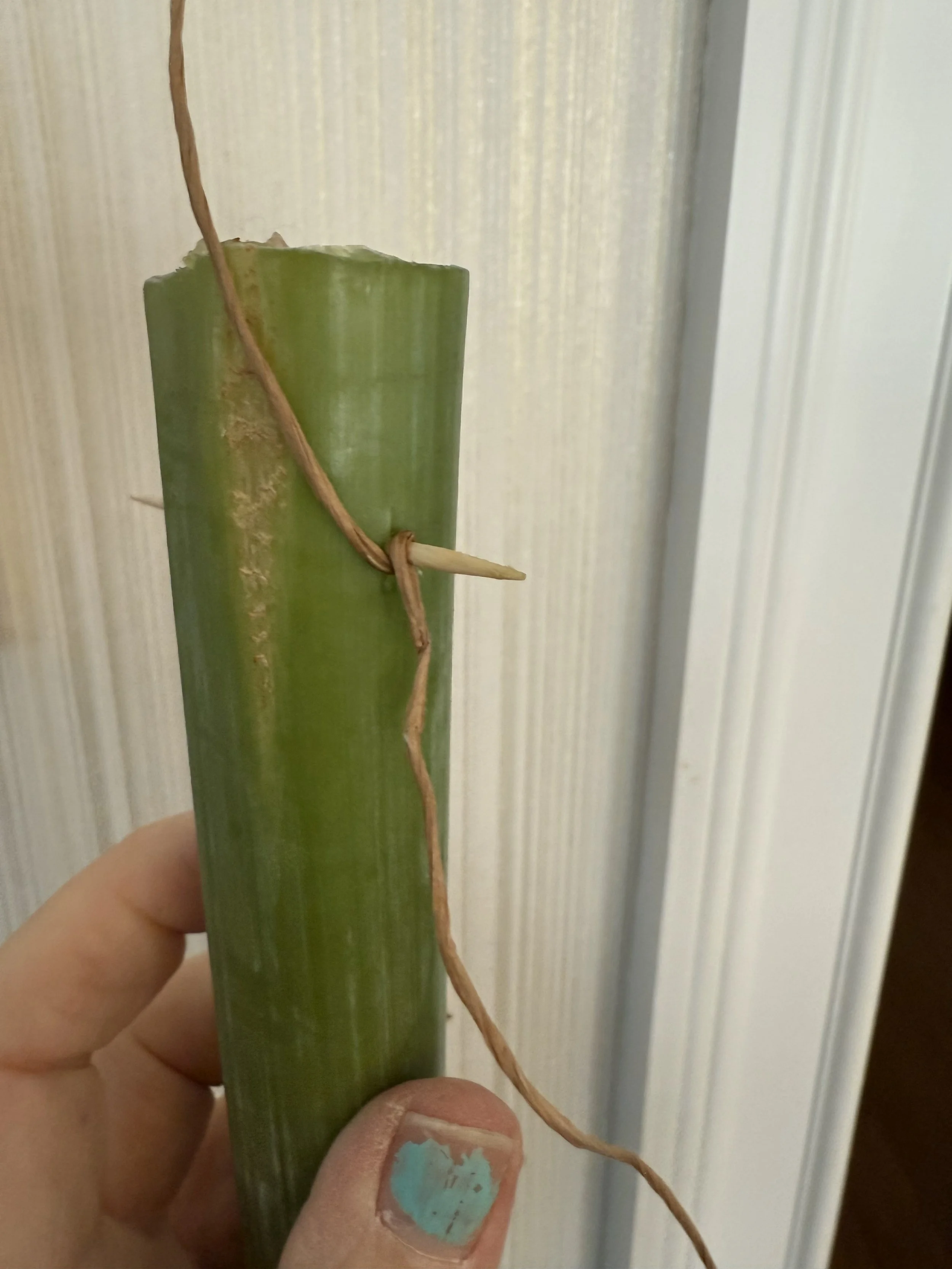 Floral Notes_Chandelier Florals_December 2025 (6).jpeg