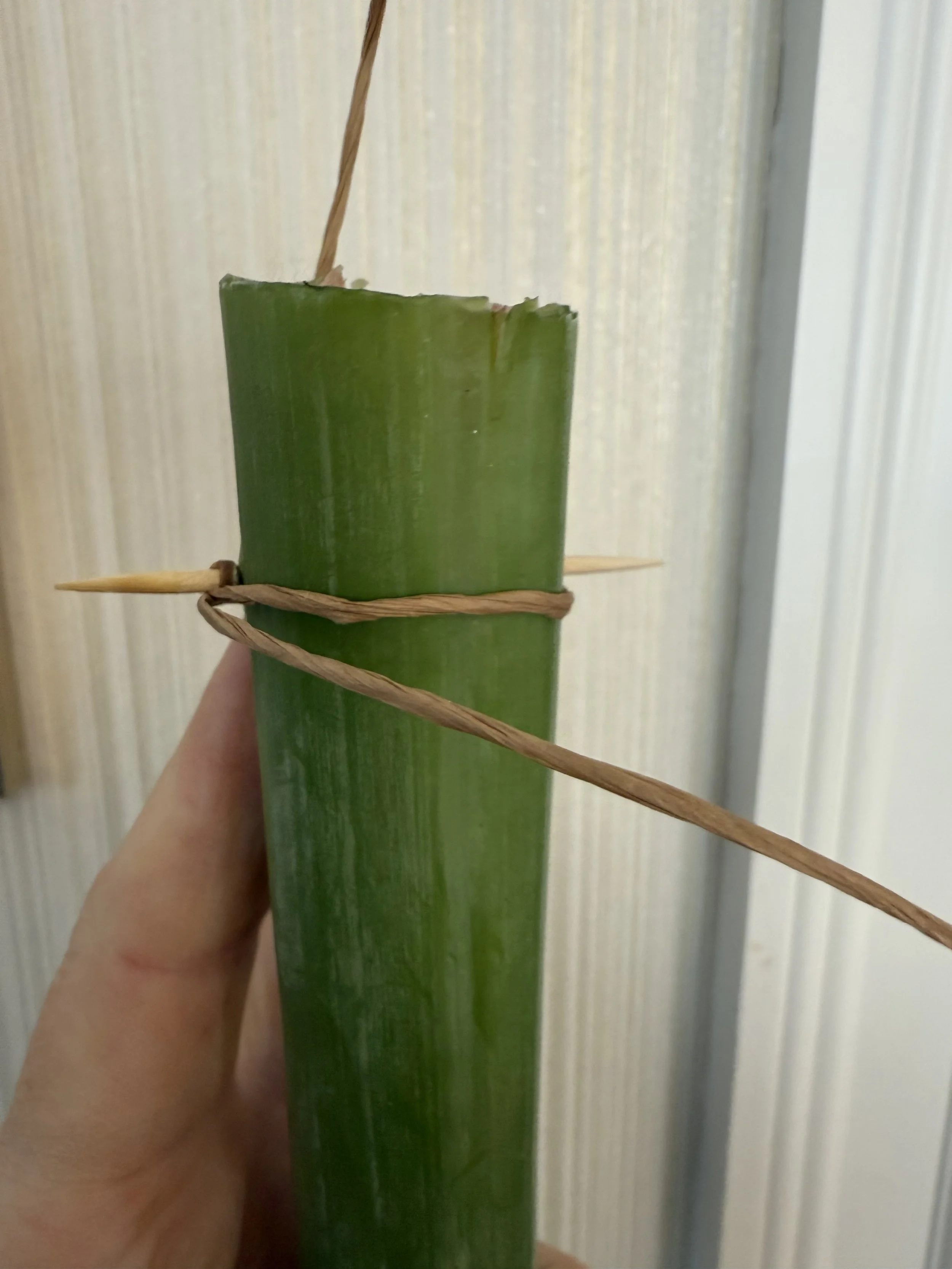 Floral Notes_Chandelier Florals_December 2025 (7).jpeg